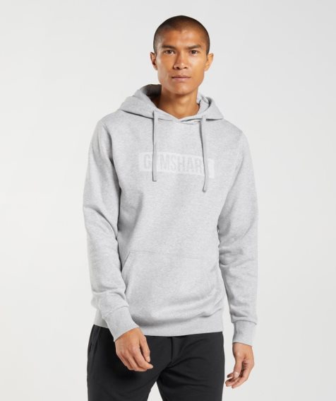 Men's Gymshark Block Hoodie Light Grey | CA 1705ND